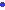 circle01_blue.gif